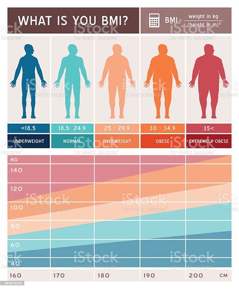 Body Mass Index Infographic Stock Illustration - Download ...