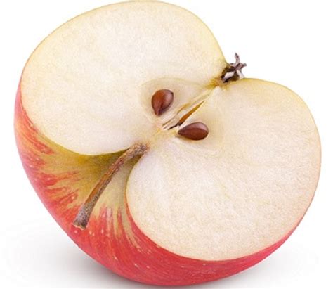 Did You Know That Chewing On Apple Seeds Can Be Poisonous