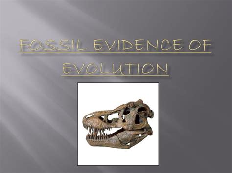 Ppt Fossil Evidence Of Evolution Powerpoint Presentation Free