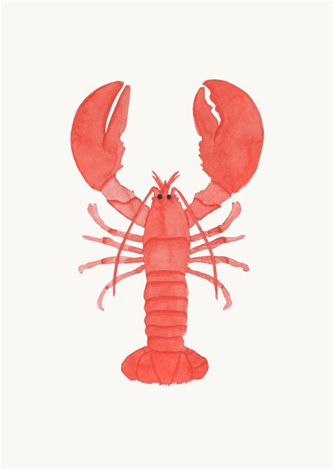 Lobster By Paperfox Lobster Art Lobster Drawing Animal Illustration