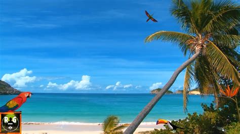 Caribbean Paradise Beach Screensaver & Ocean Waves Sounds for Sleeping ...
