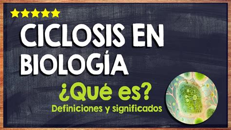 🙏 ¿qué Es La Ciclosis En Biología Conoce La Función De La Ciclosis 🙏