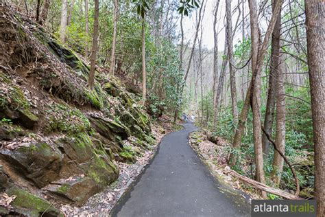 Anna Ruby Falls Trail Atlanta Trails