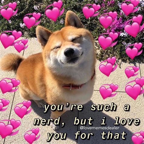√ You Are Loved Meme