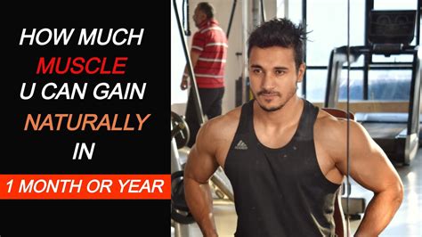 How Much Muscle You Can Gain Naturally In 1 Month Or Year Muscle