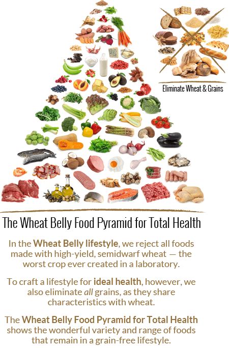 The Wheat Belly Food Pyramid For Total Health Wheat Belly Recipes