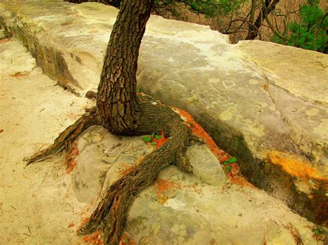 Which one is the real bedrock? bedrock - National Geographic Society