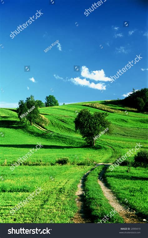 Idyllic Part Countryside On Beautiful Sunny Stock Photo 2099419