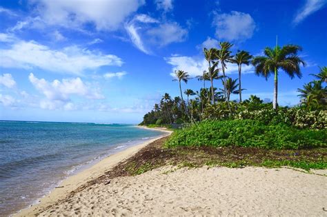 The 8 Best Beaches In Honolulu To Visit This Summer