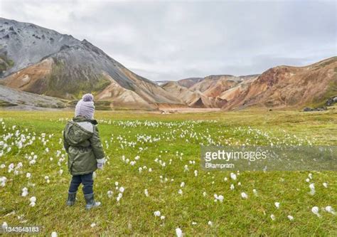 Landmannalaugar Wilderness Photos And Premium High Res Pictures Getty