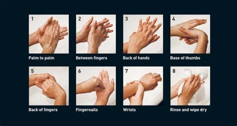 Global Handwashing Day A Step By Step Guide To Wash Your Hands The
