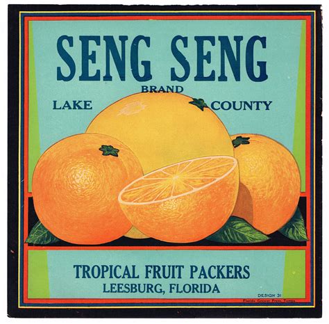 Original Vintage Florida Citrus Crate Label C1930s Seng Seng Etsy