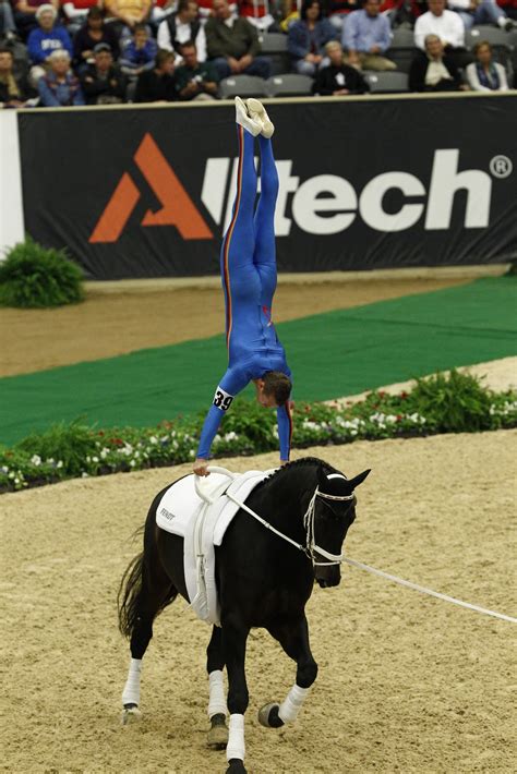 A Bit Of Everything Equestrian Vaulting