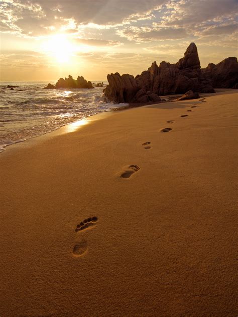 Footprints In The Sand On Beach Near San José Del Cabo Mexico At