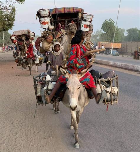 Ou Sont Enterrés Les Gens Du Voyage - Tchad : Le voyage des nomades au cœur de N’Djamena, une merveille à