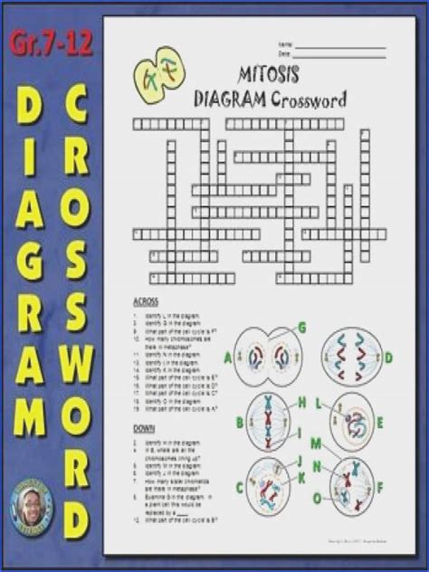 150 tickets per student 1 b. Mitosis Worksheet Answer Key | Mychaume.com