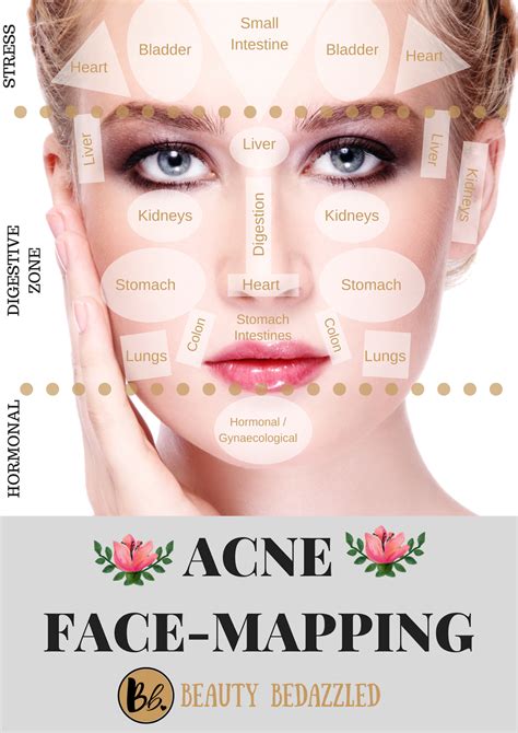 Acne Face Mapping What Does Your Acne Tell You Beauty Bedazzled