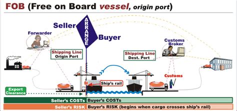 Exw And Fob Explained For Shipping Incoterms Forest Shipping