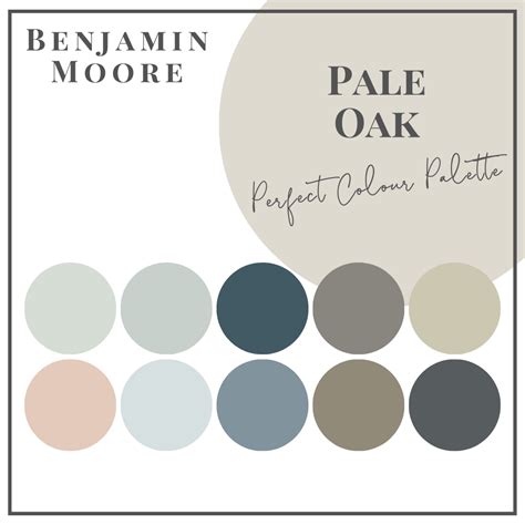 Pale Oak Perfect Colour Palettes Claire Jefford