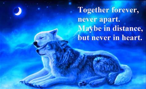 Very Romantic But The Way I View A Soulmate Wolf Love Wolf Spirit Beautiful Wolves