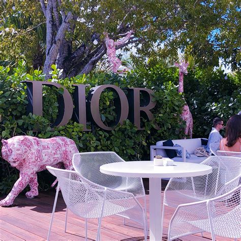 dior cafe miami why it s the place to be seen right now christinabtv