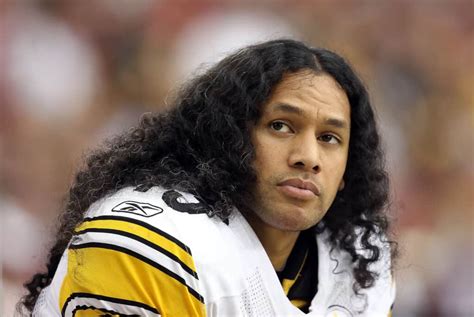 The Life And Career Of Troy Polamalu Complete Story