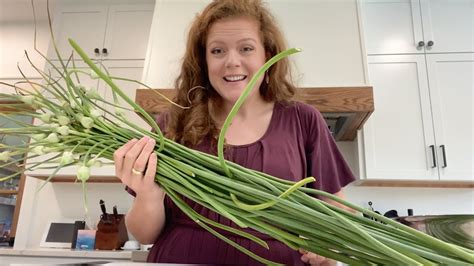 Preserving Garlic Scapes Youtube