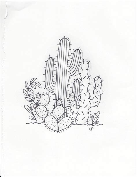 Cactus Doodle Cactus Doodle Cactus Drawing Doodle Art