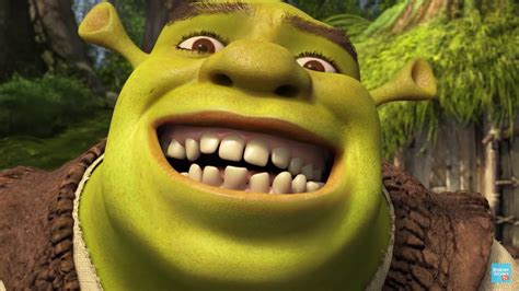 Shrek The Brogrelord On Twitter Smile Through The Pain Laddehs