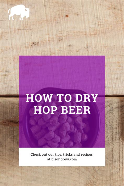 The Complete Guide To Dry Hopping Your Homebrew Beer In 2023