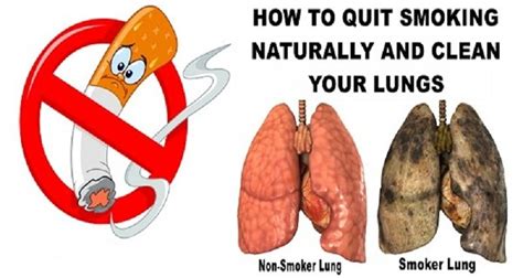 if you smoke for more than 5 years this recipe will easily clear your lungs nettoyer ses