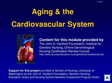 Ppt Aging And The Cardiovascular System Powerpoint Presentation Free Download Id9712966