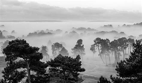 Early Morning Autumn Mist Over Dorset Misty Landscape