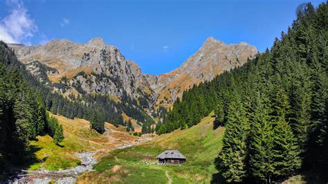Check spelling or type a new query. Traseu în masivul Făgăraș - Vârful Moldoveanu (2.544 m ...
