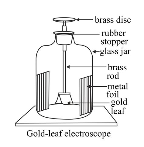 Draw A Well Labelled Diagram Of An Electroscope Descr Vrogue Co