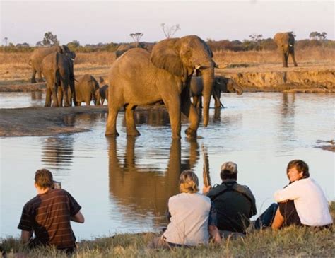 Hwange National Park Sensational Africa Zimbabwe Safari Highlight