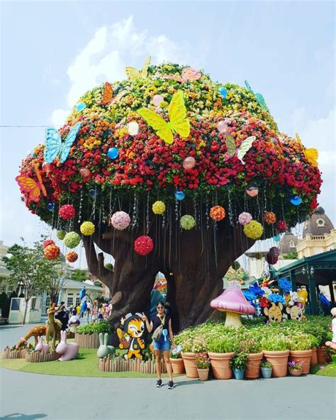 Check out the best rides to go for and the ticket prices for foreigners and locals. Everland Theme Park, Yongin-si, Gyeonggi-do, South Korea ...