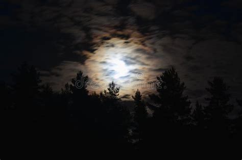 Full Moon Over The Forest South Bohemia Stock Photo Image Of Forest