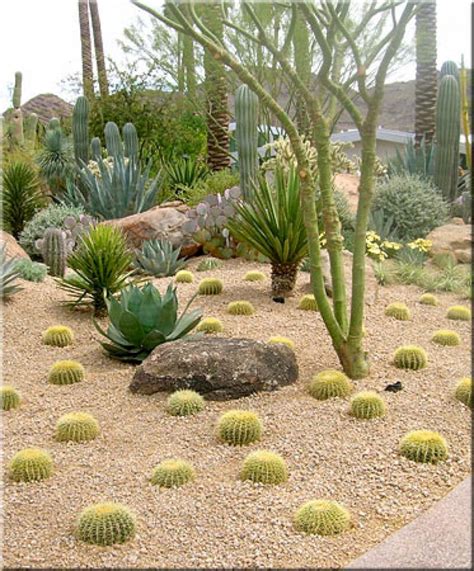 10 Incredible Arizona Desert Landscaping Ideas Desert Landscape