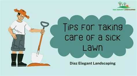 Ppt Tips For Taking Care Of A Sick Lawn Powerpoint Presentation Free