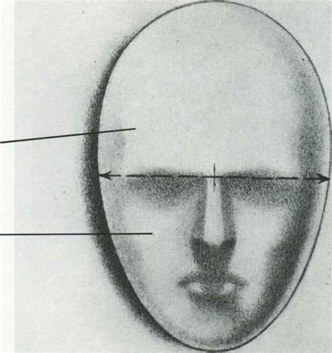 Cranial Mass Drawing The Human Head Joshua Nava Arts