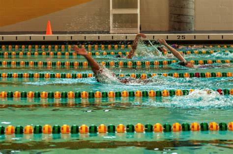 Suny Brockport Swimming And Diving Team To Get Back In The Pool The