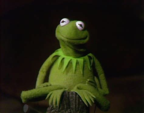 Kermit The Frog Through The Years Muppet Wiki Fandom