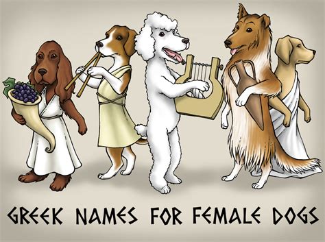 101 Greek Goddess Names That Make Epic Female Dog Names