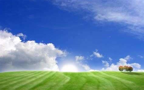 47 Grass And Sky Wallpapers Wallpapersafari