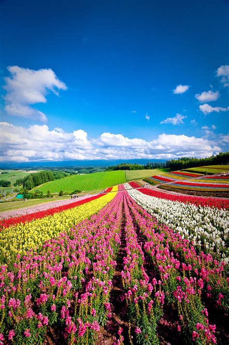 Hokkaido Japan Nature Japan Beautiful Landscapes