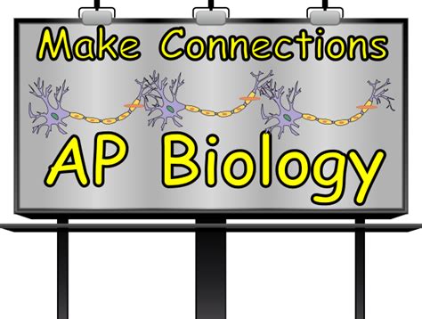Ap Biology Clip Art At Clker Vector Clip Art Online Royalty Free
