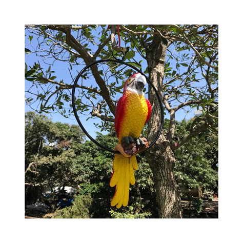 Best Realistic Tropical Parrot Sculpture Metal Ring Hanging Bird Garden