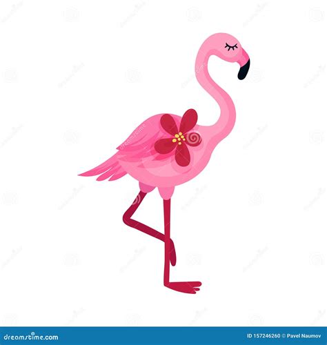 Pink Flamingo Vector Illustration On A White Background Stock Vector