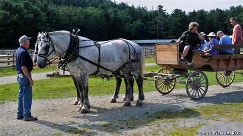 Acadia National Park Mr Rockefeller Bridges Carriage Ride Bringing